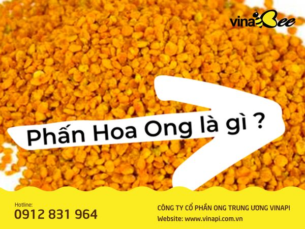 Phấn Hoa Ong là gì ?