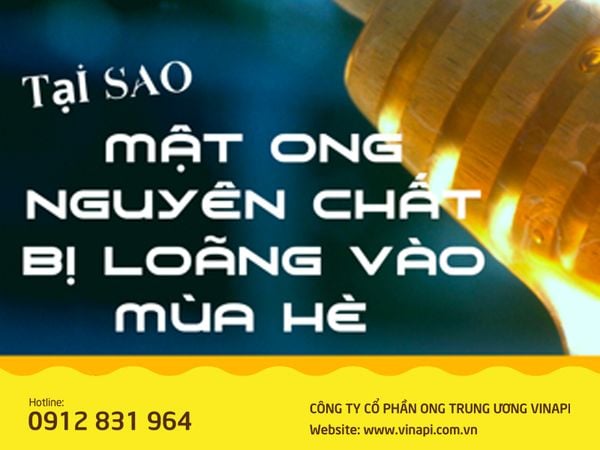 Tại Sao Mật Ong Nguyên Chất Bị loãng vào mùa hè ???