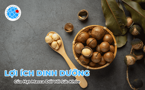 Điểm Danh Những Lợi Ích Dinh Dưỡng Của Hạt Macca Đối Với Sức Khỏe