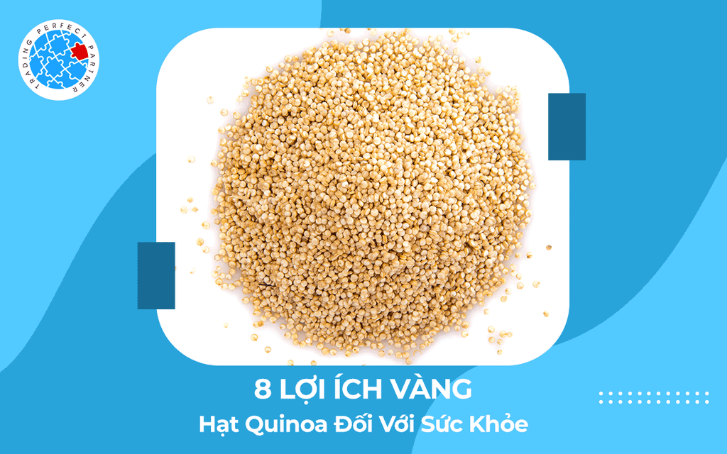 8 Lợi Ích Vàng Của Hạt Quinoa Đối Với Sức Khỏe