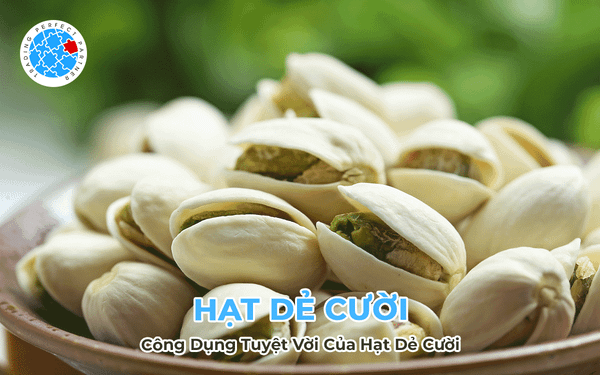 Hạt Dẻ Phòng Nhiều Bệnh - Công Dụng Tuyệt Vời Của Hạt Dẻ Cười