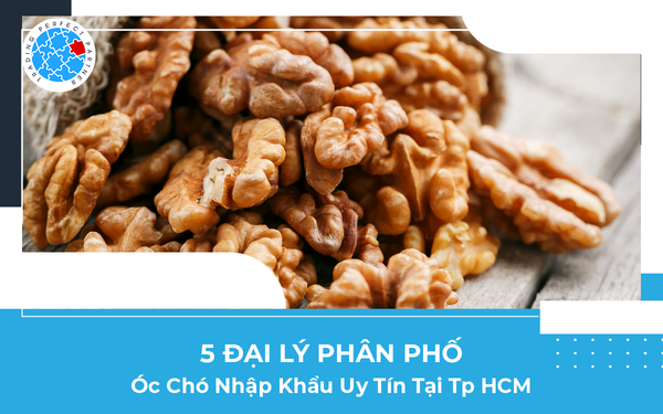 Tổng Hợp 5 Đại Lý Phân Phối Óc Chó Nhập Khẩu Uy Tín Tại Tp HCM
