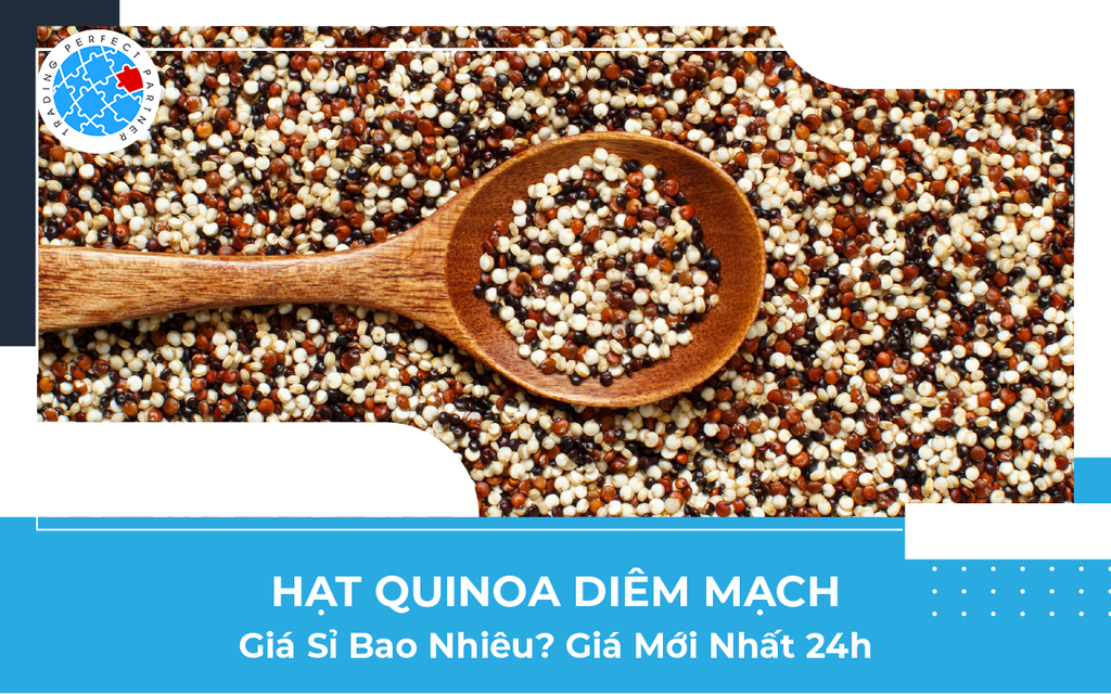 Hạt Quinoa Diêm Mạch Giá Sỉ Bao Nhiêu? Giá Mới Nhất 24h