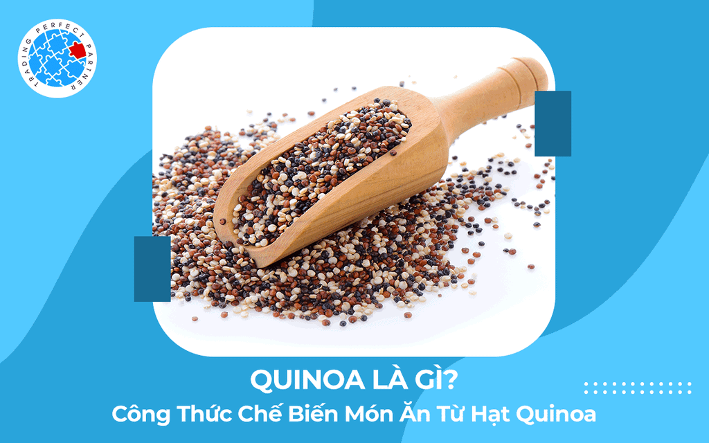 Quinoa Là Gì? Công Thức Chế Biến Món Ăn Từ Hạt Quinoa