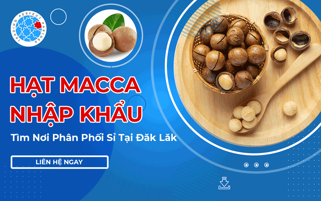 Hạt Macca Nhập Khẩu - Tìm Nơi Phân Phối Sỉ Tại Đăk Lăk