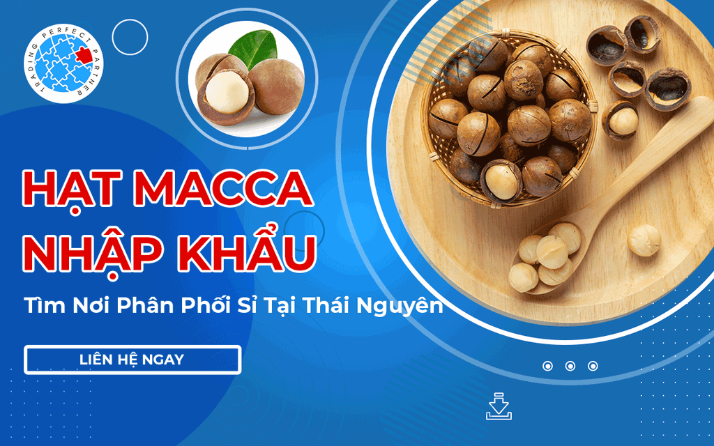 Hạt Macca Nhập Khẩu - Tìm Nơi Phân Phối Sỉ Tại Thái Nguyên