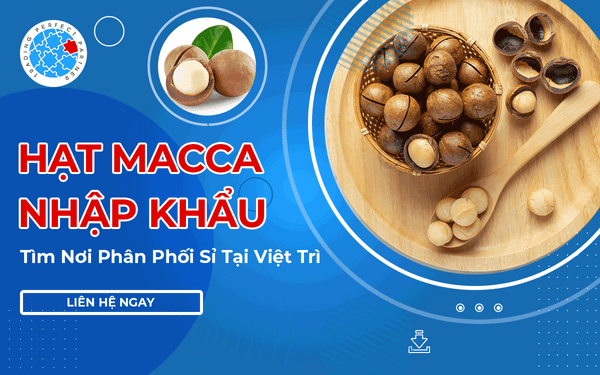Hạt Macca Nhập Khẩu - Tìm Nơi Phân Phối Sỉ Tại Việt Trì