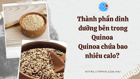 Thành phần dinh dưỡng bên trong Quinoa - Quinoa chứa bao nhiêu calo?