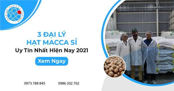 Top 3 Đại Lý Hạt Macca Sỉ Uy Tín Nhất Hiện Nay 2021