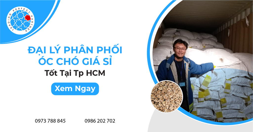 Tìm Đại Lý Phân Phối Óc Chó Giá Sỉ Tốt Tại Tp HCM