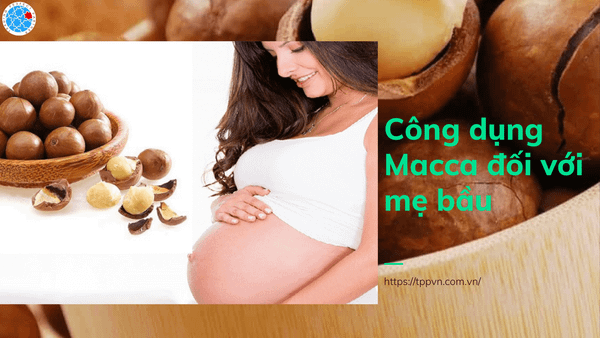 Công dụng tuyệt vời của hạt Macca cho bà bầu