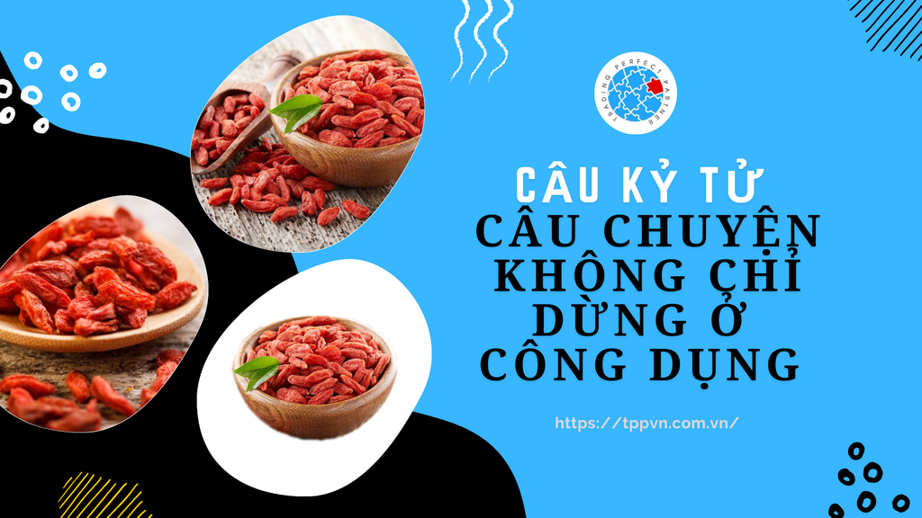 Câu Kỷ Tử - Câu chuyện không chỉ dừng ở công dụng