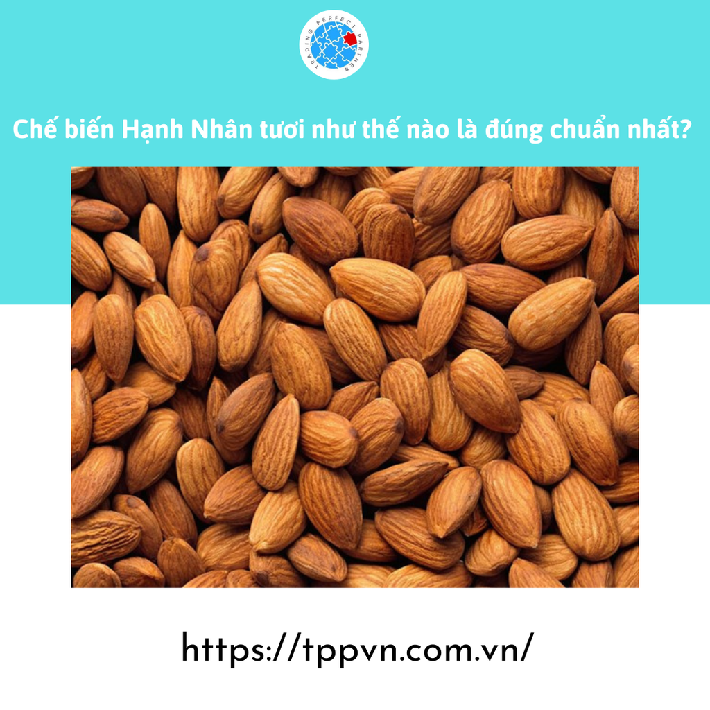 Chế biến Hạnh Nhân tươi như thế nào là đúng chuẩn nhất?