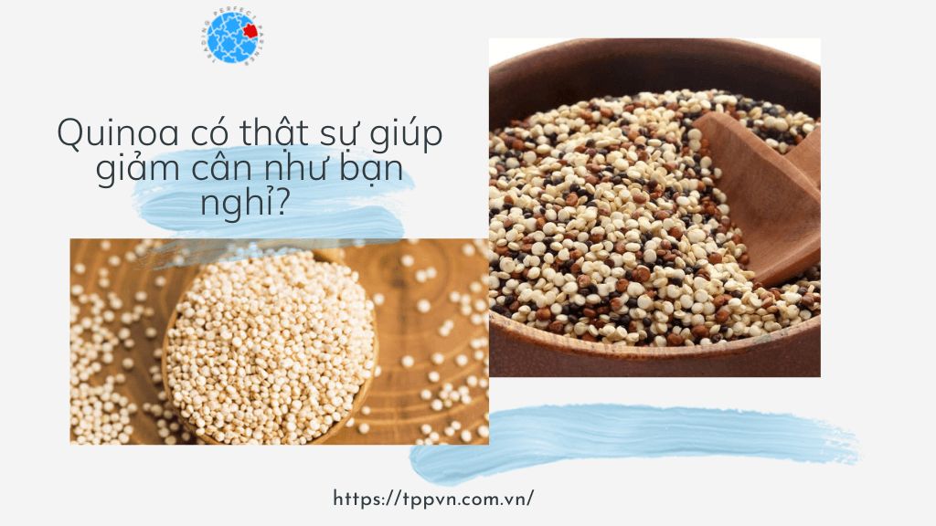 Quinoa có thật sự giúp giảm cân như bạn nghỉ?