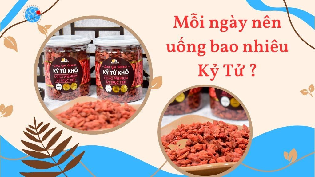 Mỗi ngày nên uống bao nhiêu Kỷ Tử