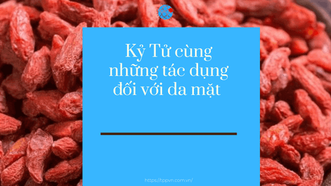 Kỷ Tử cùng những tác dụng đối với da mặt