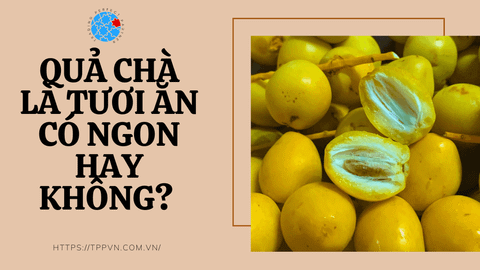 Quả Chà Là tươi ăn có ngon hay không?