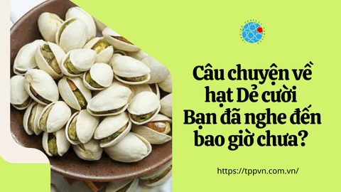 Câu chuyện về hạt Dẻ cười, bạn đã nghe đến bao giờ chưa?