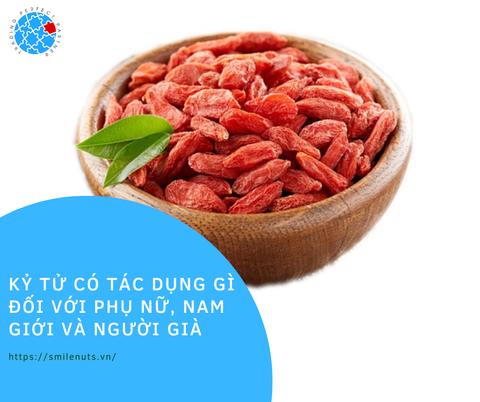 Kỷ Tử có tác dụng gì đối với phụ nữ, nam giới và người già