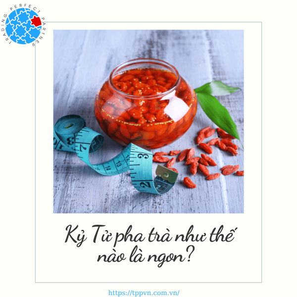 Kỷ Tử pha trà như thế nào là ngon?