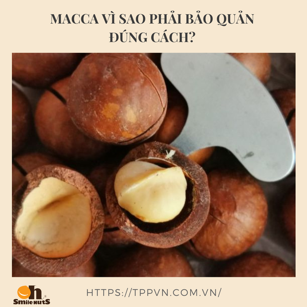 MACCA VÌ SAO PHẢI BẢO QUẢN ĐÚNG CÁCH?