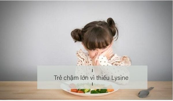 lynine