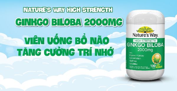 Nature’s Way High Strength Ginkgo Biloba