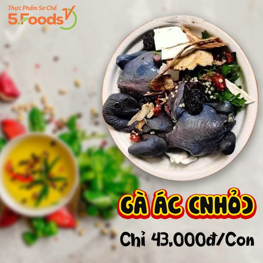 🐔 GÀ ÁC: MÓN CỦA NGƯỜI SÀNH ĂN