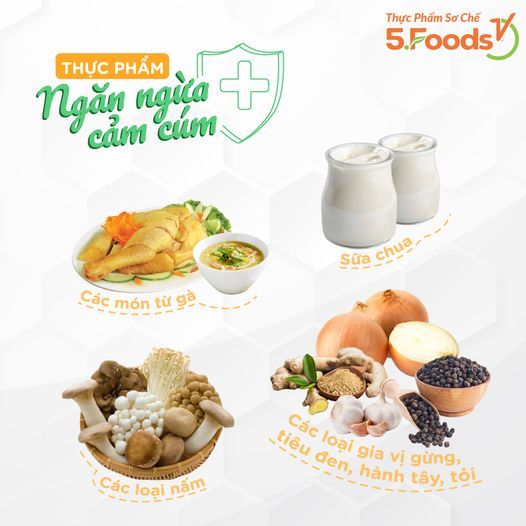 THỰC PHẨM GIÚP NGĂN NGỪA CẢM CÚM HỮU HIỆU