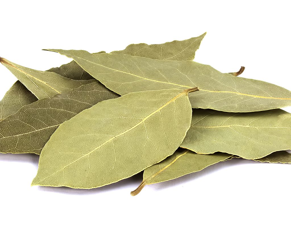 LÁ NGUYỆT QUẾ - BAY LEAF