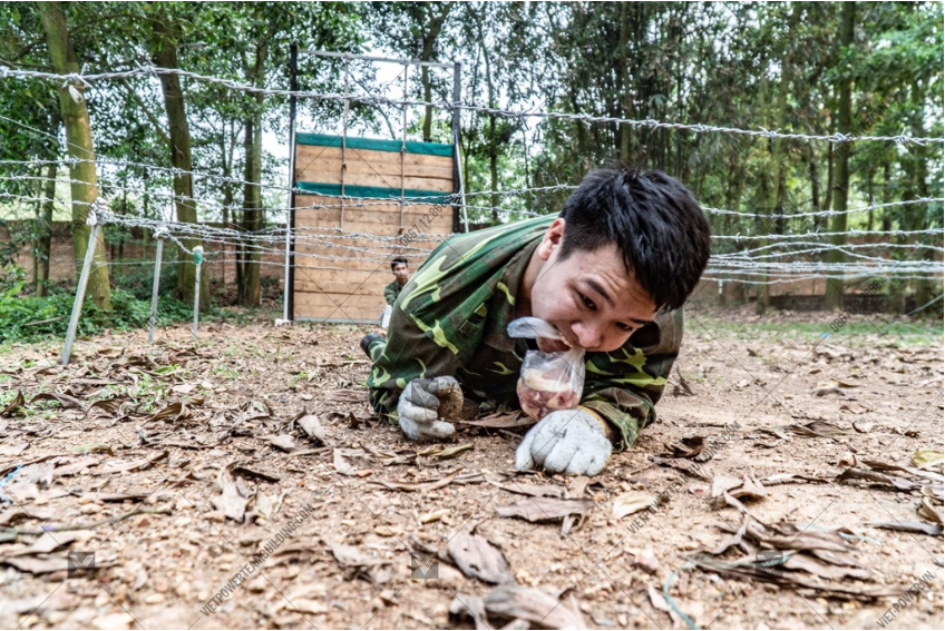 Nội dung huấn luyện teambuilding quân đội