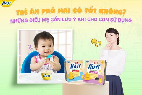 Trẻ ăn phô mai có tốt không? Những điều mẹ cần lưu ý khi sử dụng