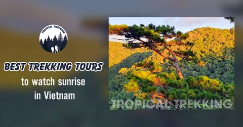 TOP 4 TREKKING TRAILS WITH THE MOST BEAUTIFUL SUNRISE IN VIETNAM