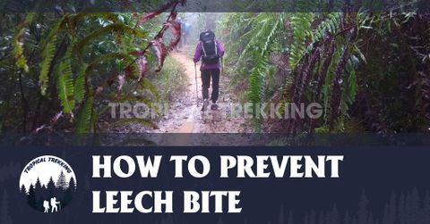 HOW TO PREVENT LEECH BITE