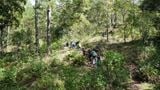 Bidoup Nui Ba National Park - A Paradise for Nature Lovers