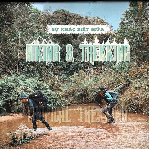 SỰ KHÁC BIỆT GIỮA HIKING VÀ TREKKING