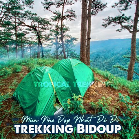 TREKKING BIDOUP MÙA NÀO ĐẸP?