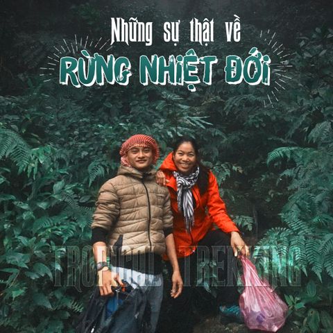 NHỮNG SỰ THẬT BẤT NGỜ VỀ RỪNG NHIỆT ĐỚI