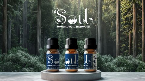 [1-1-2025] SOUL LAUNCHES, MARKING A NEW JOURNEY FOR TROPICAL TREKKING