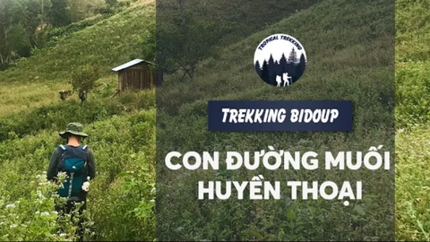 TREKKING BIDOUP NÚI BÀ - ĐỒI CỎ BIDOUP PHƯỚC BÌNH | TROPICAL TREKKING