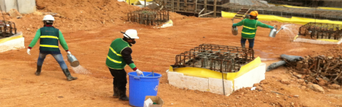 Phòng Chống Mối Công Trình Bằng Hóa Chất: Giải Pháp Hiệu Quả Bảo Vệ Tài Sản Bền Vững