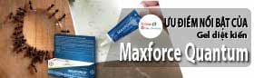 ƯU ĐIỂM NỔI BẬT CỦA GEL DIỆT KIẾN MAXFORCE QUANTUM