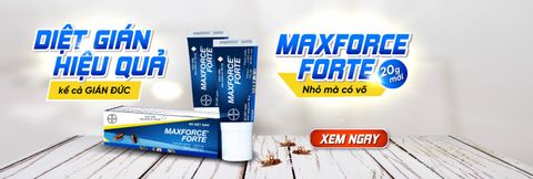 Gel Diệt Gián Maxforce® Forte 20g