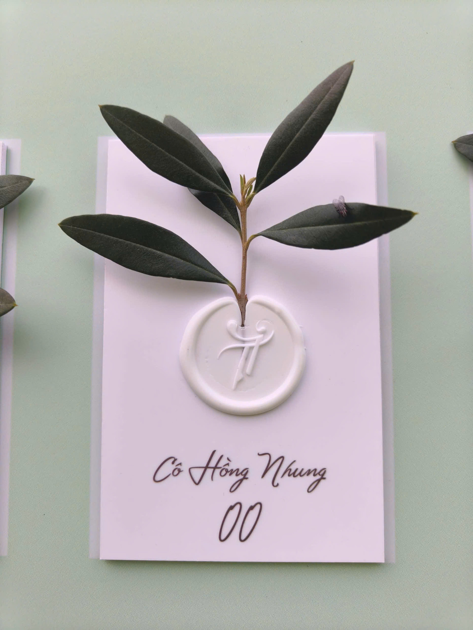 Vũ Cát Tường và Hành Trình Yêu Thương Bên Bạn Đời Thu Trang