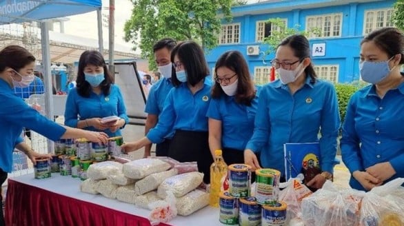 Phá Dỡ Mạng Lưới Sản Xuất Hàng Giả Tại Phú Thọ: Hơn 71.000 Lít Dầu Ăn và 40 Tấn Mì Chính Bị Tịch Thu