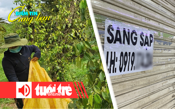 Thông Tin Liên Hệ của Chuyên Trang Giải Trí VnExpress