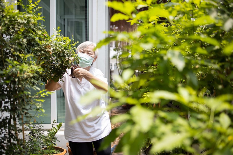 Bí Quyết Sống Lâu: Những Thói Quen Của Người Cao Tuổi