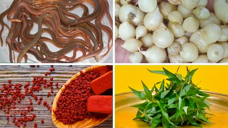 Thịt Lươn Nghệ An: Món Ngon Đặc Sản Nên Thử