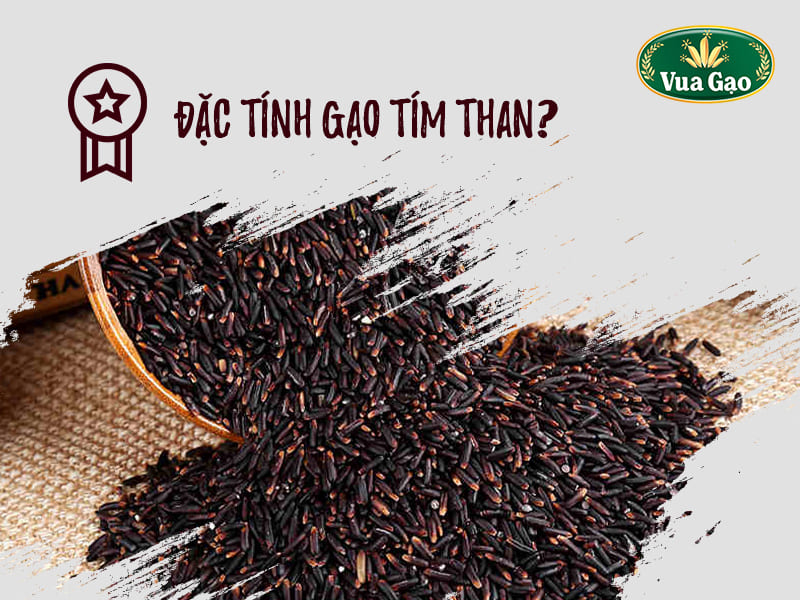 Khám Phá Cơm Gạo Tím Than - Món Ăn Ngon Giàu Dinh Dưỡng Và Lợi Ích Sức Khỏe