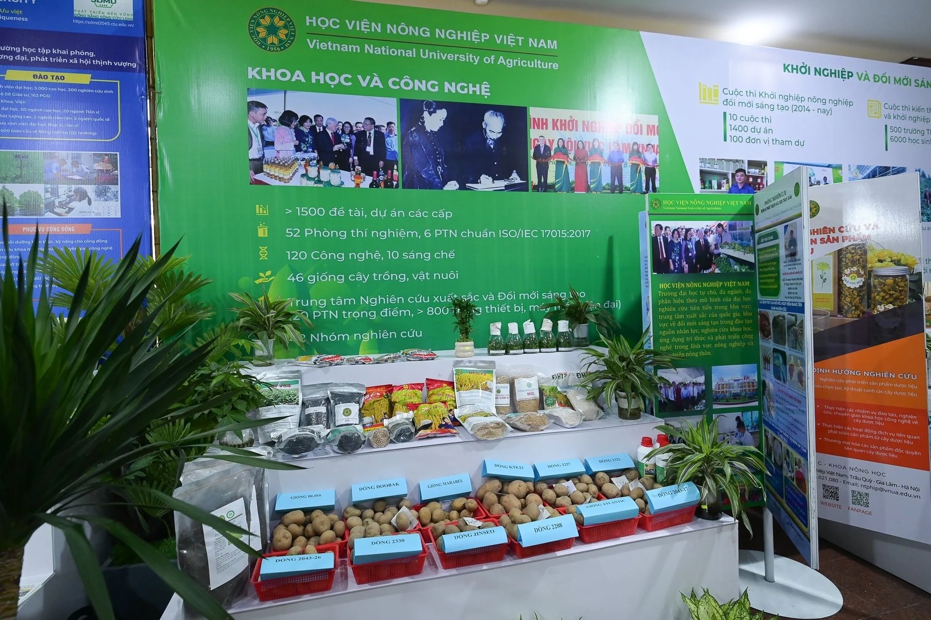 Thách thức trong việc cấp cứu và điều trị bệnh nhân tâm thần tại Bệnh viện Tâm thần Hải Phòng